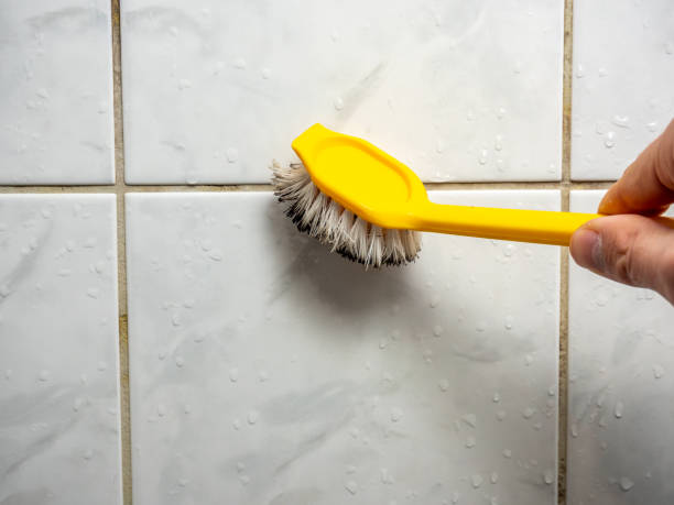 Best Emergency Mold Removal  in Wamac, IN
