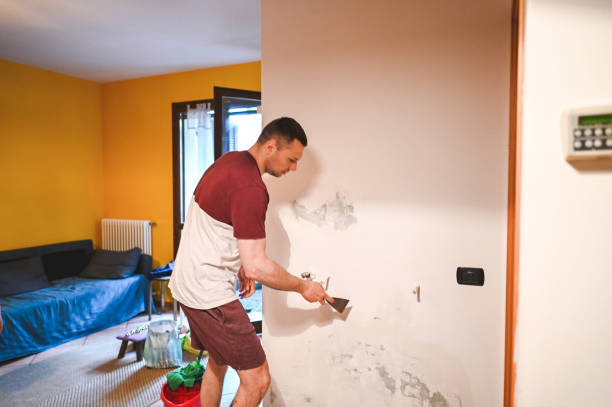 Mold Removal and Inspection in Winamac, IN